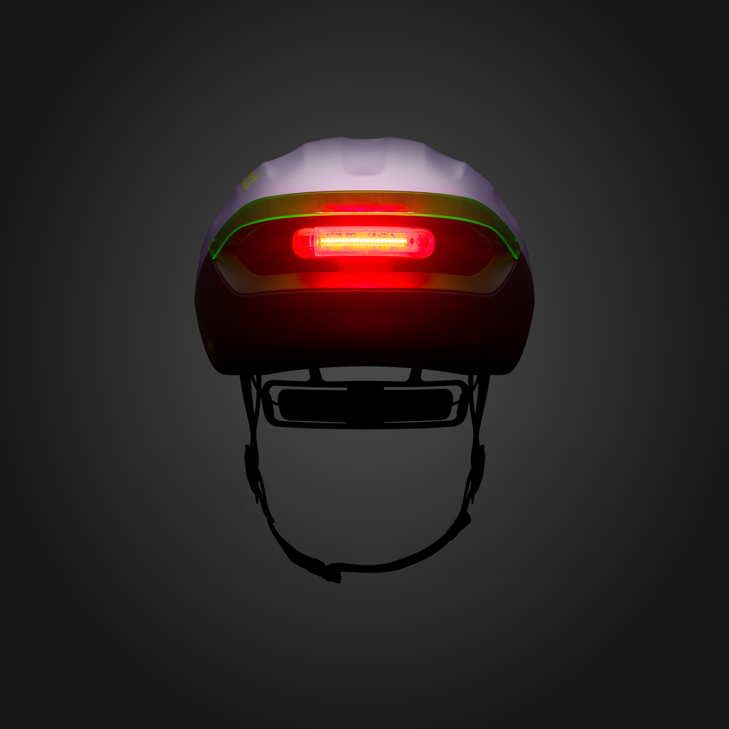 アーティファクト FHE0000023812_8_fizik-kudo-