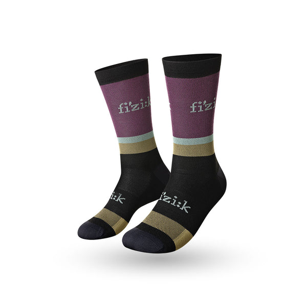 Team Edition Cycling Socks Fizik