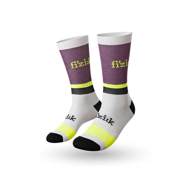 Team Edition Cycling Socks Fizik