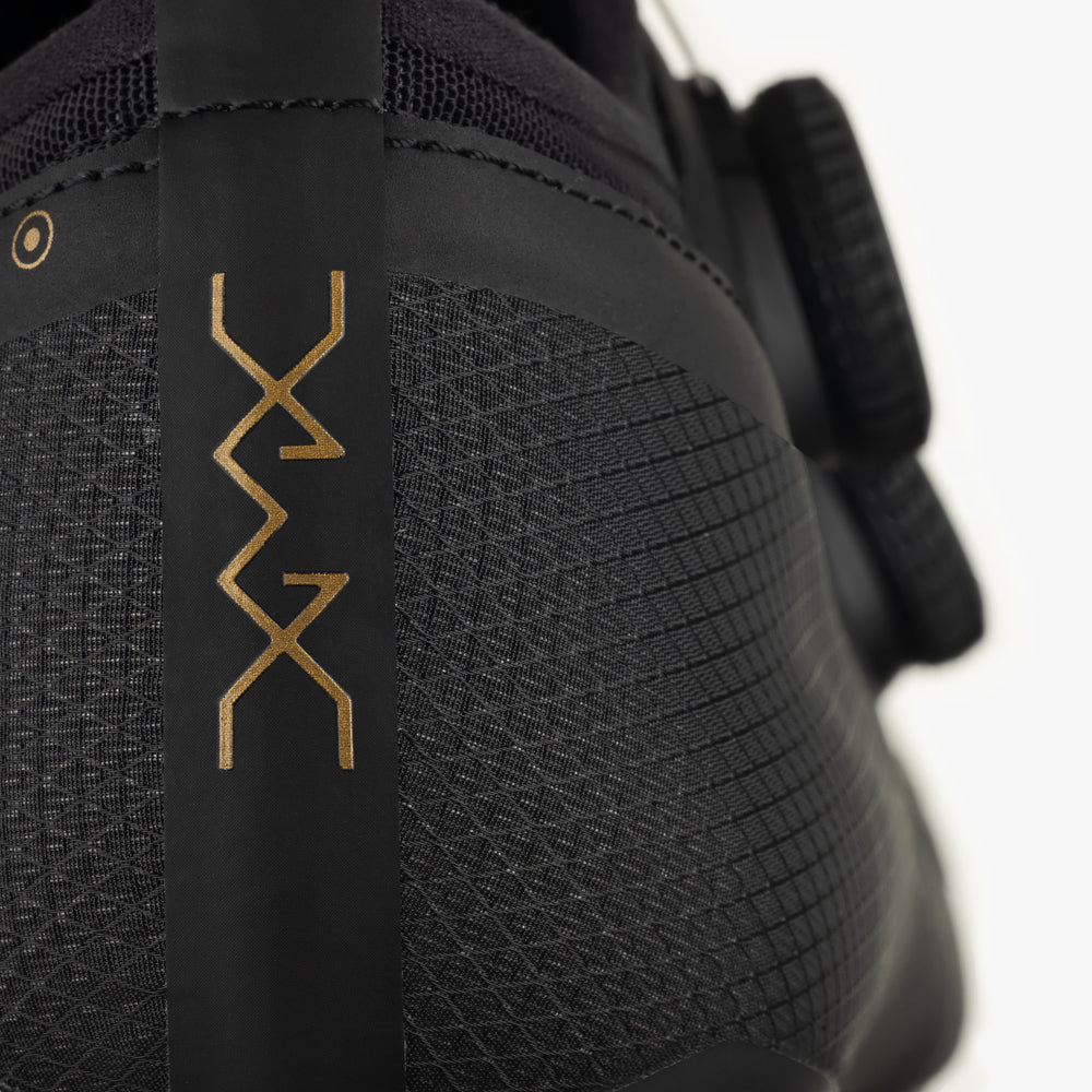 Vega Carbon