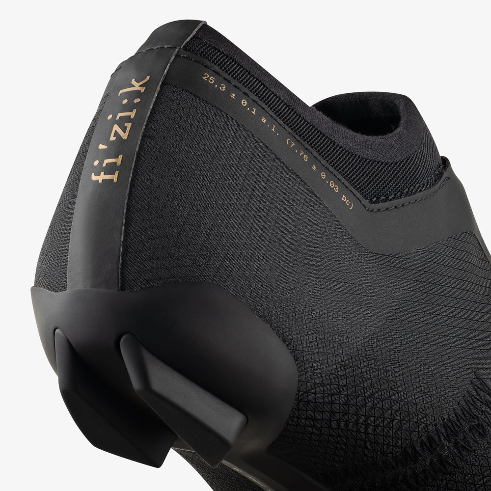 Vega Carbon