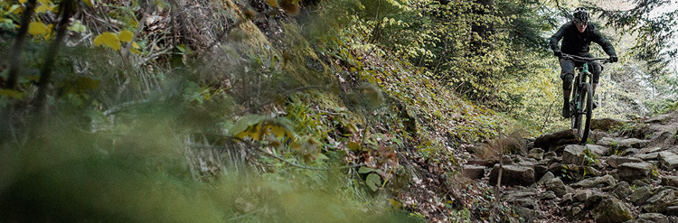 Enduro